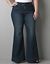 Plus size Denim bell bottom by Lane Bryant