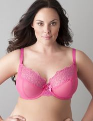 Embroidered mesh full coverage bra