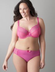Embroidered mesh full coverage bra and brief panty