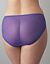 Plus size Embroidered mesh hipster panty by Cacique