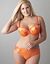 Flame embroidered mesh demi bra by Cacique