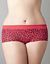 Meow seamless boyshort panty by Cacique