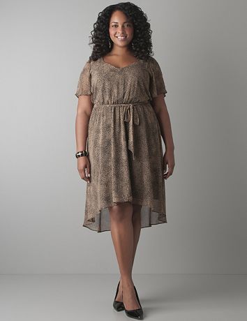 Plus Size Animal Print Dress by Lane Bryant
