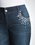 Plus Size Rhinestone Skinny Jeans by Lane Bryant