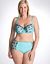 Floral embroidered French full coverage bra