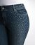 Plus Size Rhinestone Embellished Skinny Jean