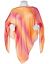 Airbrush poncho by Lane Bryant