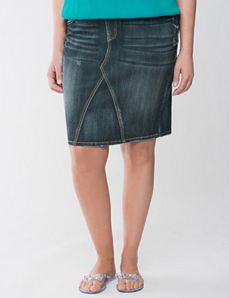Denim Pencil Skirt