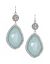 Stone Drop Earrings by Lane Bryant
