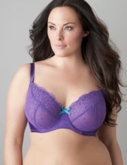 Embroidered mesh full coverage bra by Cacique