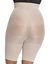 Plus size Spanx In-Power Super Power Panties