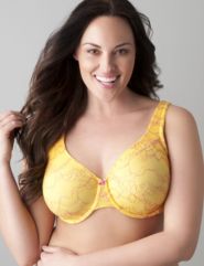 Plus size luxury lace full coverage bra
