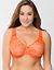 Plus size luxury lace full coverage bra