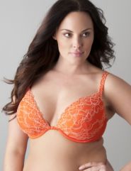 Plus size luxury lace plunge bra