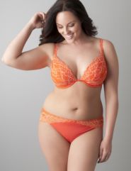 Passion lace plunge bra and hipster panty