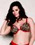 Solid & animal print reversible plunge by Cacique