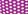 Purple & white dot