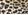 Animal Print