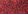 Red Animal Print