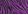 Purple Zebra Print