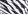 Black & White Zebra