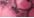 Pink Candy