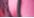 Pink Candy