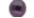 Purple magic