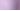 Violet tulle