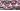 Beet root purple