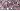Beet Root Purple