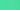 Spearmint