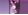 Heliotrope