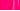 Knockout Pink