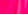 Knockout Pink