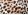 Brown animal print
