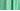 Spearmint
