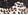 Animal Print