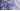 Amparo blue