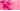 Knockout pink