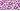 Purple animal print