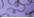 Purple Ribbon