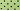 Jasmine black dot