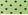 Jasmine green dot