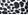 Black Animal Print