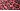 Red Leopard
