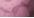 Shocking Pink